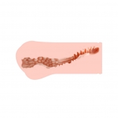 Мастурбатор-вагина Monica без вибрации - KOKOS - в Ярославле купить с доставкой