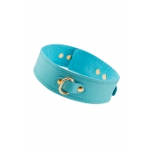 Голубой кожаный однослойный ошейник с прошивкой - Pecado - купить с доставкой в Ярославле
