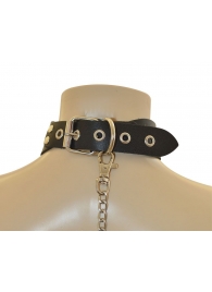 Ошейник  Веселый Роджер - Sitabella - купить с доставкой в Ярославле