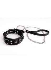 Ошейник  Веселый Роджер - Sitabella - купить с доставкой в Ярославле