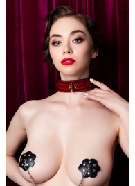 Красный ошейник из лакированного материала - ToyFa - купить с доставкой в Ярославле