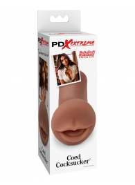 Мастурбатор-ротик Coed Cocksucker - Pipedream - в Ярославле купить с доставкой