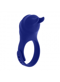 Синее эрекционное виброкольцо с клиторальной подушечкой и пультом ДУ Adjustable Fun Ring - Zero Tolerance - в Ярославле купить с доставкой