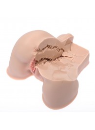 Мастурбатор-полуторс Naked Factory Kate - Naked Factory - в Ярославле купить с доставкой