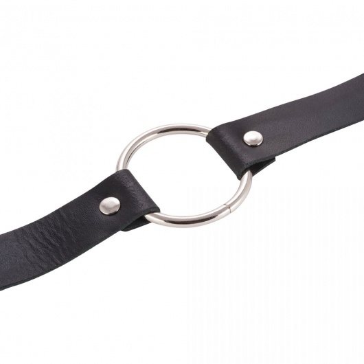 Черный поводок и чокер с кольцом Rada - Rebelts - купить с доставкой в Ярославле