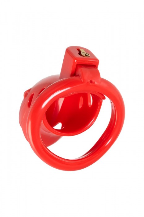 Красный мужской пояс верности из пластика - ToyFa - купить с доставкой в Ярославле