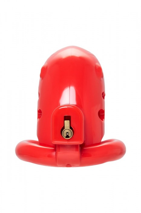 Красный мужской пояс верности из пластика - ToyFa - купить с доставкой в Ярославле