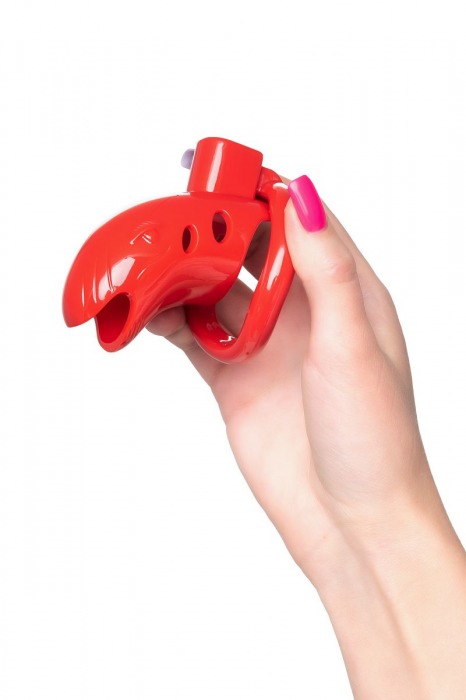 Красный мужской пояс верности из пластика - ToyFa - купить с доставкой в Ярославле