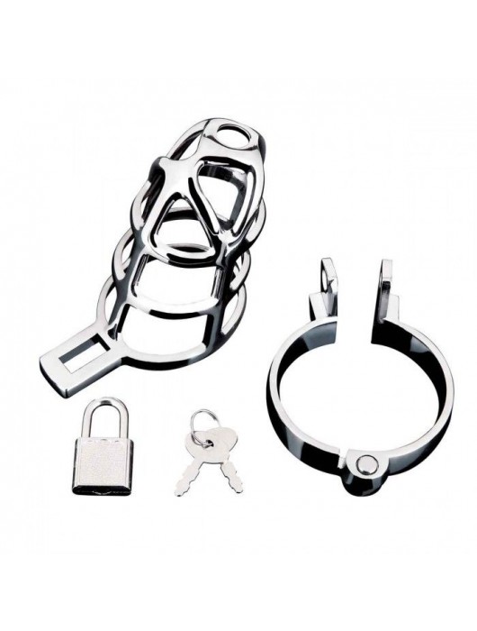 Серебристая металлическая клетка для члена с замком Enslave Cock Cage - BlueLine - купить с доставкой в Ярославле