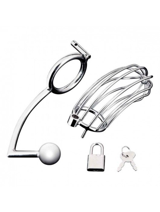 Серебристая металлическая клетка с анальным стимулятором Cock Cage - BlueLine - купить с доставкой в Ярославле