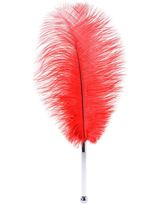 Красное страусовое пёрышко - ToyFa - купить с доставкой в Ярославле