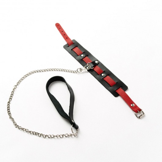 Черный ошейник с красным ремешком и поводком - Crazy Handmade - купить с доставкой в Ярославле