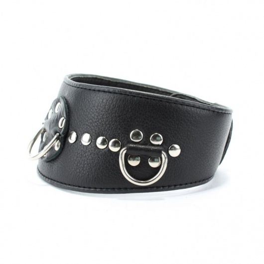 Чёрный кожаный ошейник с полукольцами и клёпками - БДСМ Арсенал - купить с доставкой в Ярославле