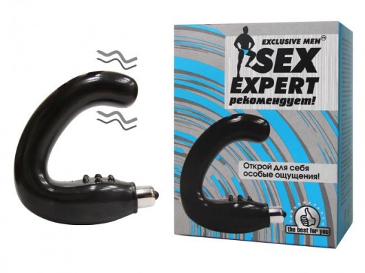 Чёрный массажёр простаты серии Sex Expert - Sex Expert - в Ярославле купить с доставкой