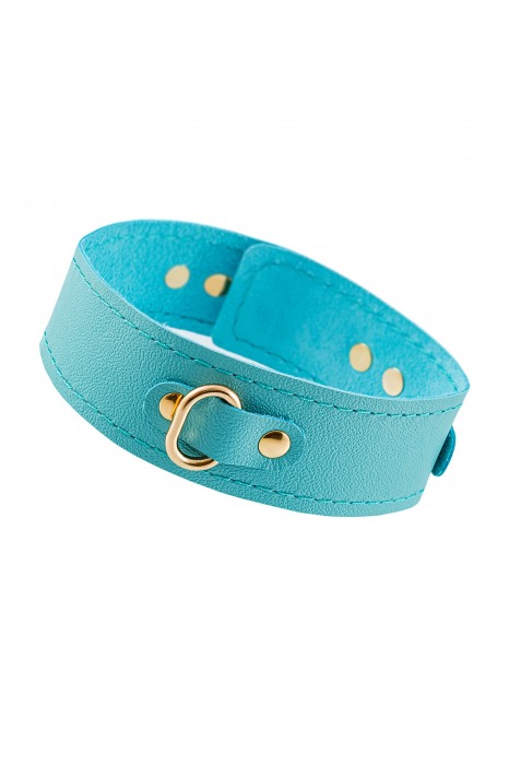 Голубой кожаный однослойный ошейник с прошивкой - Pecado - купить с доставкой в Ярославле