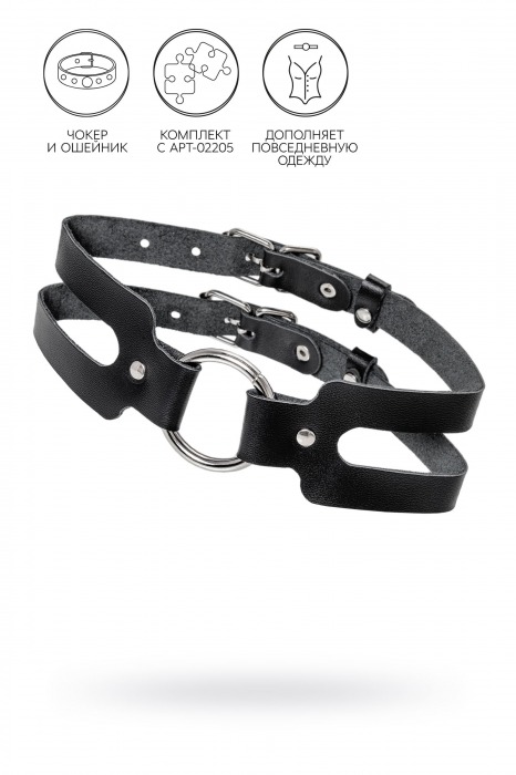Черный кожаный чокер-ошейник из двух ремешков - Pecado - купить с доставкой в Ярославле