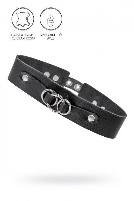 Черный чокер-ошейник со связанными кольцами на подложке - Pecado - купить с доставкой в Ярославле