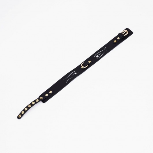 Черный кожаный ошейник с золотистой фурнитурой - Crazy Handmade - купить с доставкой в Ярославле