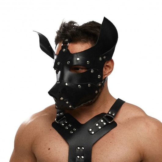 Черная кожаная маска «Собака» - Crazy Handmade - купить с доставкой в Ярославле