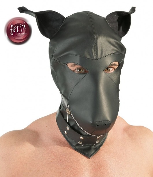 Шлем-маска Dog Mask в виде морды собаки - Orion - купить с доставкой в Ярославле
