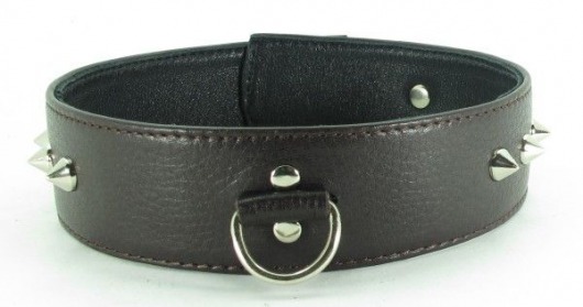 Коричневый кожаный ошейник с кольцом увеличенного размера - БДСМ Арсенал - купить с доставкой в Ярославле