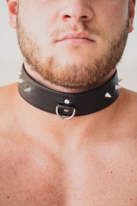 Коричневый кожаный ошейник с кольцом увеличенного размера - БДСМ Арсенал - купить с доставкой в Ярославле