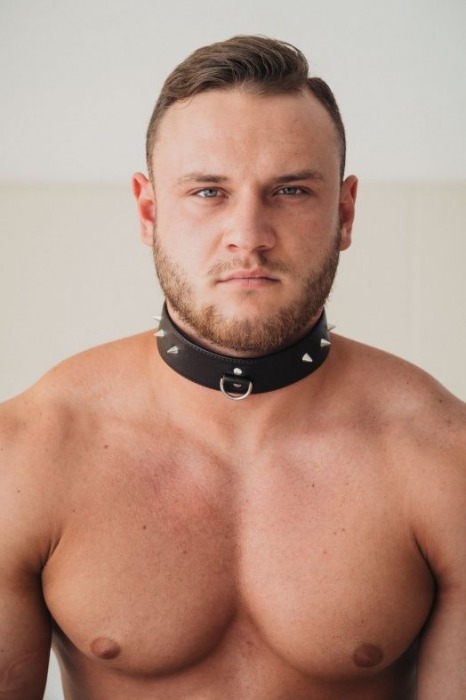 Коричневый кожаный ошейник с кольцом увеличенного размера - БДСМ Арсенал - купить с доставкой в Ярославле