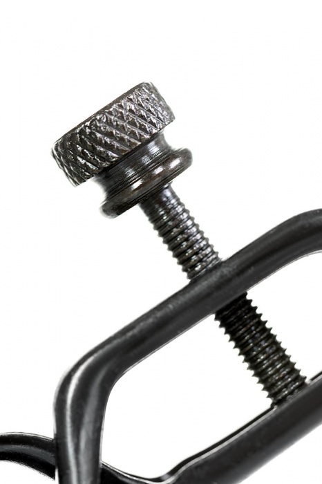 Черно-золотистые зажимы для сосков TOYFA Theatre - ToyFa - купить с доставкой в Ярославле